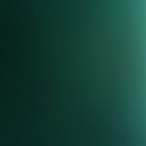 Meet your Posher, Anibal